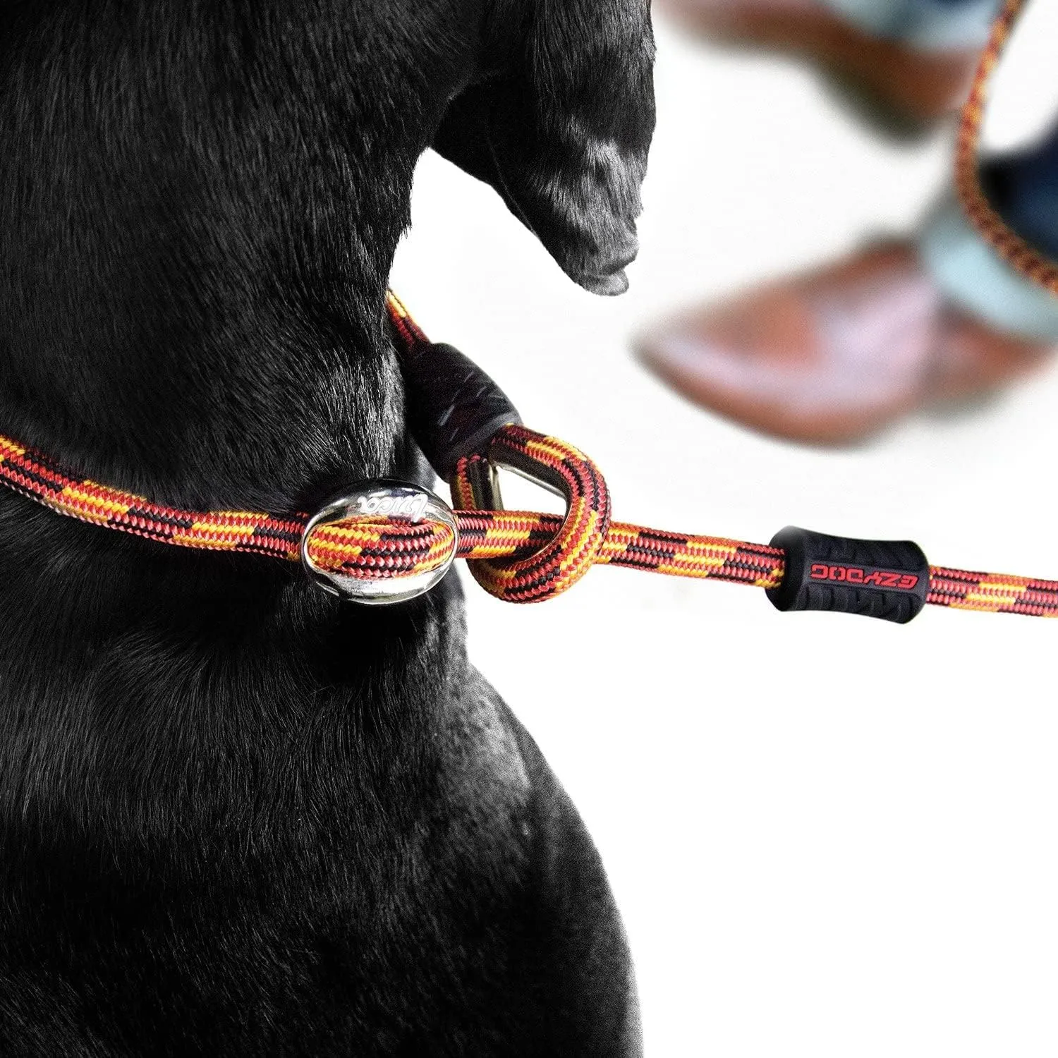 EzyDog Luca Slip Lead Dual Function Heavy Duty Rope Leash for Dogs That Pull Slip Leash & Gentle Lead Head Halter, Small (5.5ft x .23', Orange)