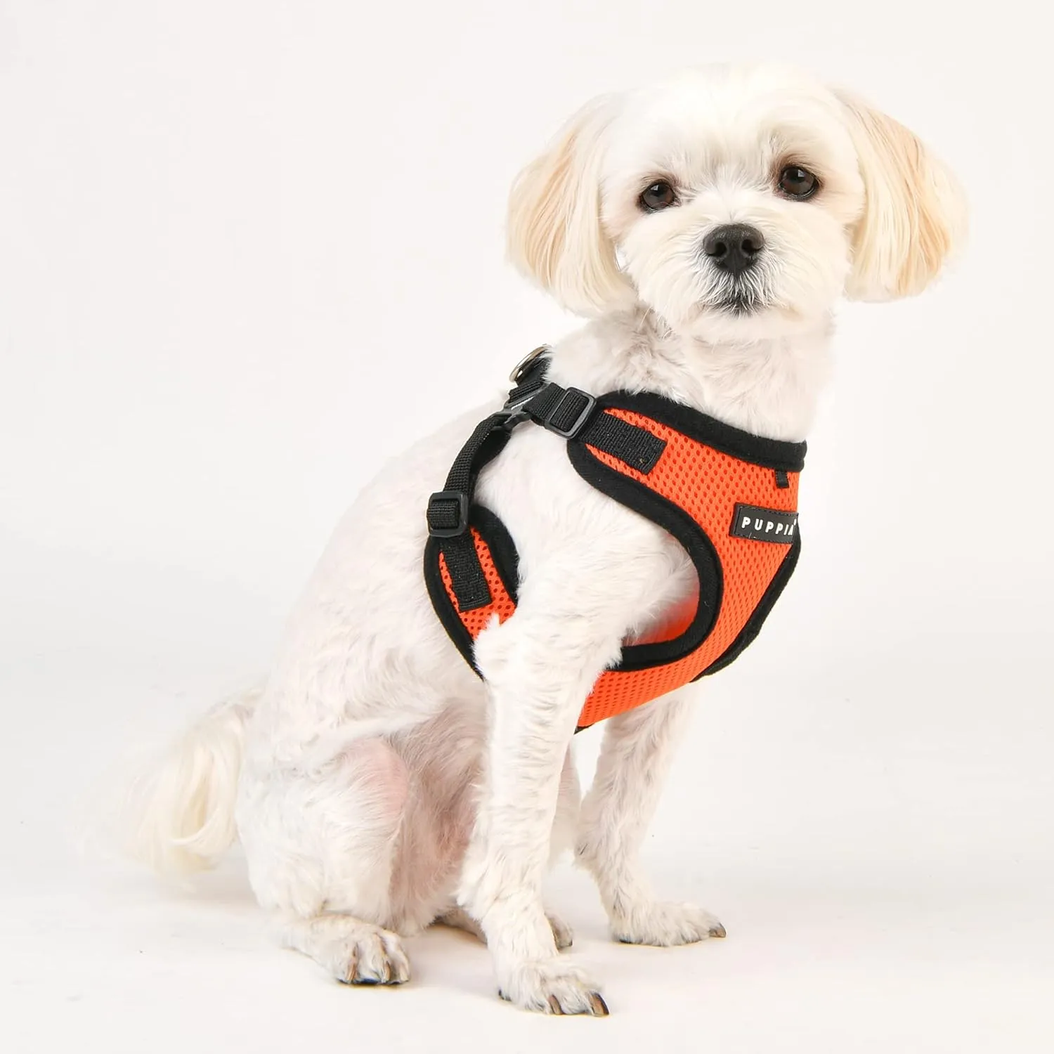 Puppia Dog Harness Comfort Mesh Step-in All Season No Pull No Choke Walking Training Adjustable Neck & Chest for Small & Medium Dog - Orange - S