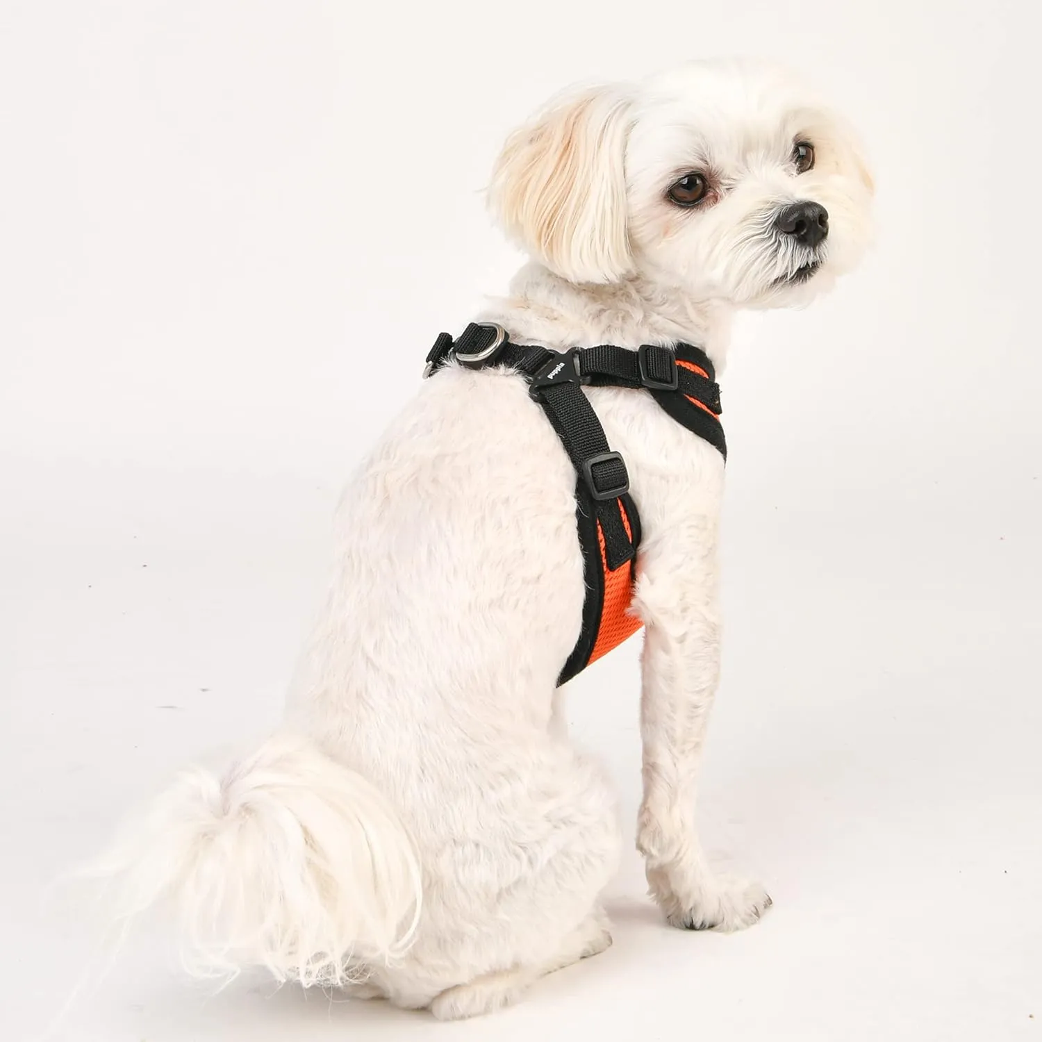 Puppia Dog Harness Comfort Mesh Step-in All Season No Pull No Choke Walking Training Adjustable Neck & Chest for Small & Medium Dog - Orange - S