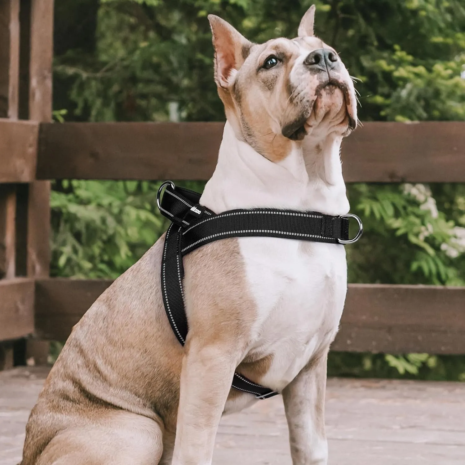 rabbitgoo Dog Harness No Pull, Quick Fit for Large Dogs with Soft Padded Handle, Chest Adjustable Reflective Pet Vest, No Choke Escape Proof for Walking Training, Black L